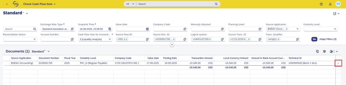 Screenshot einer Grafik über SAP Cashflow Analyzer