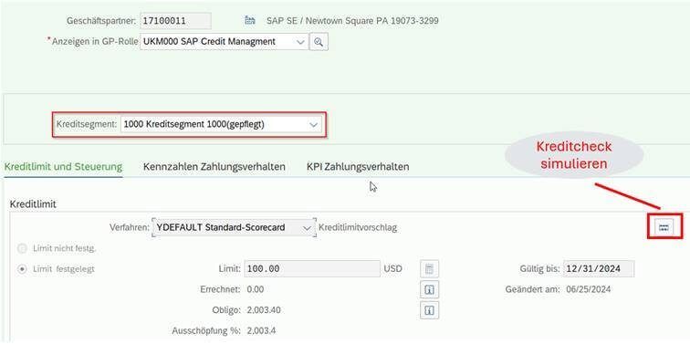 Ein Screenshot einer technischen Grafik, die den SAP-Prozess näher beschreibt