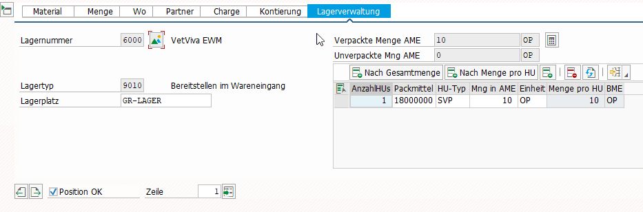 Screenshot einer Grafik, die den SAP Prozess näher beschreibt