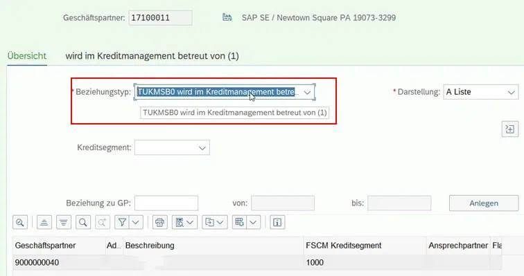 Ein Screenshot einer technischen Grafik, die den SAP-Prozess näher beschreibt